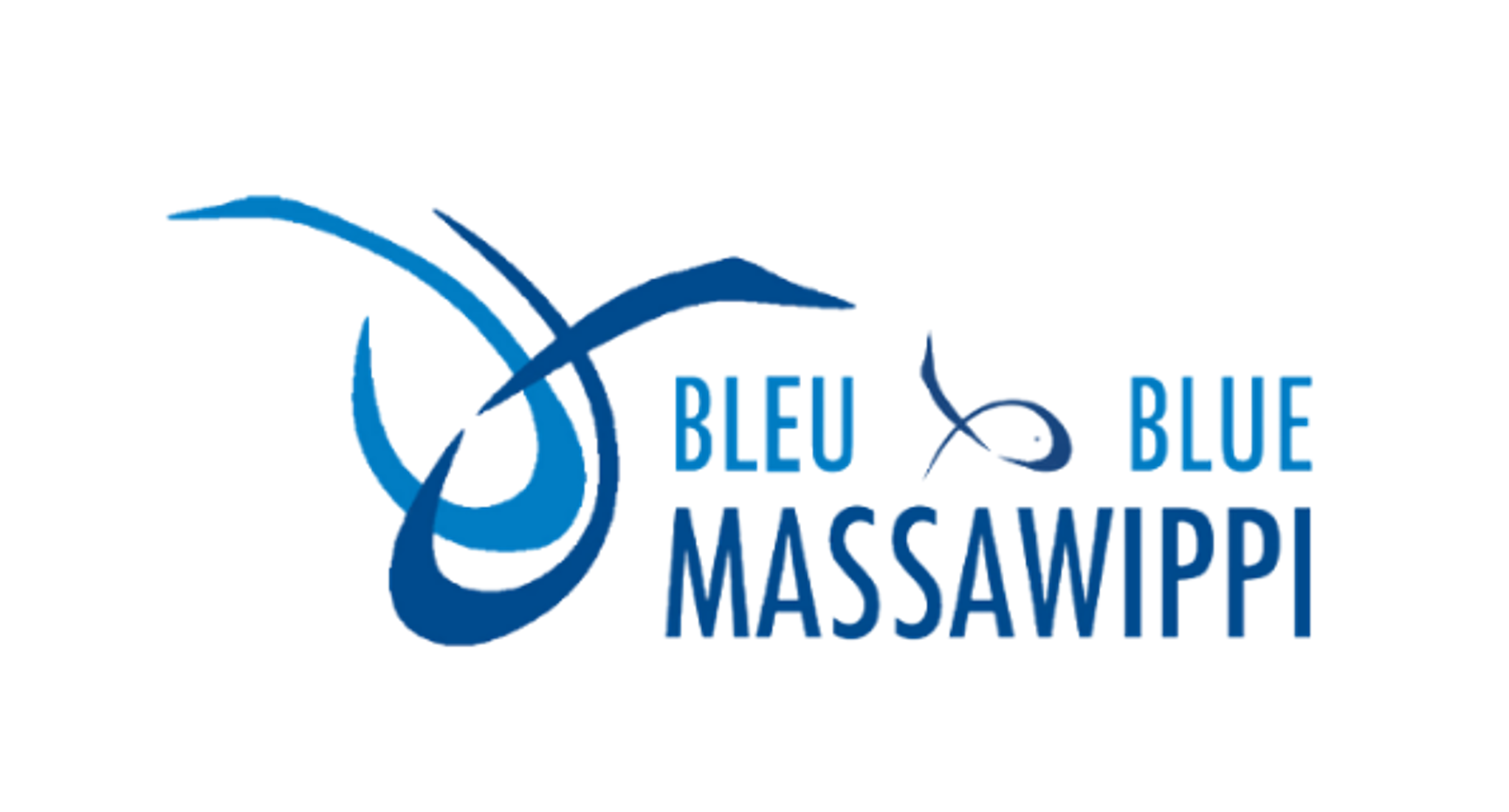 Bleu Massawippi